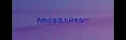 狗狗忠诚度大排名前十