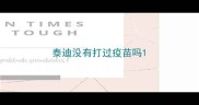 泰迪没有打过疫苗吗