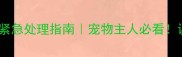 拉布拉多喉咙卡住紧急处理指南宠物主人必看误食吞咽困难全攻略