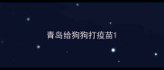 青岛给狗狗打疫苗