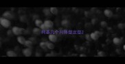 柯基几个月体型定型