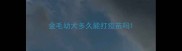 金毛幼犬多久能打疫苗吗