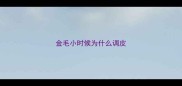 金毛小时候为什么调皮