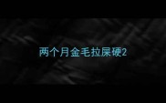 两个月金毛拉屎硬