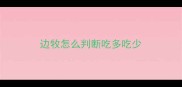 边牧怎么判断吃多吃少