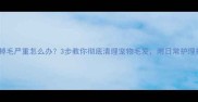 边牧掉毛严重怎么办3步教你彻底清理宠物毛发附日常护理指南