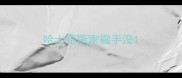 哈士奇撕家撒手没