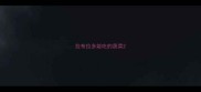 拉布拉多能吃的蔬菜