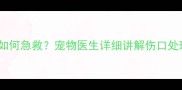 小狗后腿被车压到后如何急救宠物医生详细讲解伤口处理与术后护理全流程