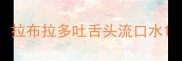 拉布拉多吐舌头流口水
