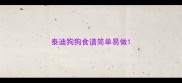 泰迪狗狗食谱简单易做