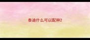 泰迪什么可以配种