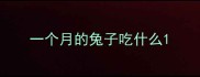 一个月的兔子吃什么