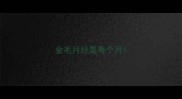 金毛月经是每个月