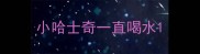 小哈士奇一直喝水