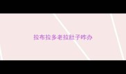拉布拉多老拉肚子咋办