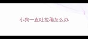 小狗一直吐拉稀怎么办