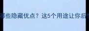 拉布拉多有哪些隐藏优点这5个用途让你后悔没早养