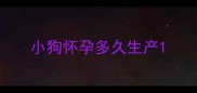 小狗怀孕多久生产