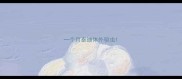 一个月泰迪体外驱虫