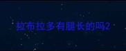 拉布拉多有腿长的吗