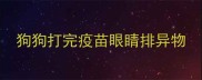 狗狗打完疫苗眼睛排异物