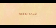 狗狗中暑吐了怎么办