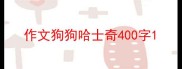 作文狗狗哈士奇400字