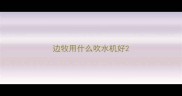 边牧用什么吹水机好