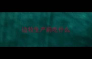 边牧生产前吃什么