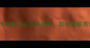 拉布拉多犬性格特点及饲养指南聪明温顺易训练的忠犬