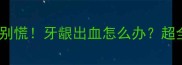 猫咪犬齿伤人别慌牙龈出血怎么办超全护理指南