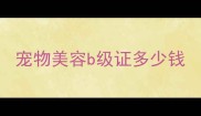 宠物美容b级证多少钱