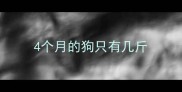 4个月的狗只有几斤