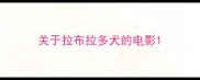 关于拉布拉多犬的电影
