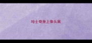 哈士奇身上像头屑