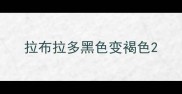 拉布拉多黑色变褐色