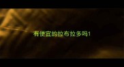有便宜的拉布拉多吗