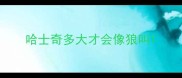 哈士奇多大才会像狼叫