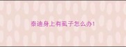 泰迪身上有虱子怎么办