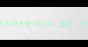 阿拉斯加雪橇犬与哈士奇对比全体型性格及选购指南