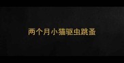 两个月小猫驱虫跳蚤