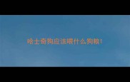 哈士奇狗应该喂什么狗粮