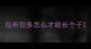 拉布拉多怎么才能长个子
