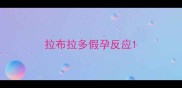 拉布拉多假孕反应
