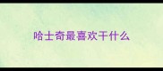 哈士奇最喜欢干什么