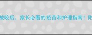 3个月大哈士奇被咬后家长必看的疫苗和护理指南附紧急处理流程