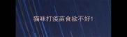 猫咪打疫苗食欲不好