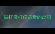 猫打没打疫苗看的出吗