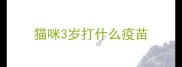 猫咪3岁打什么疫苗